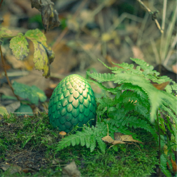 Eggscalibur Dschungeldrachenei Mystery Egg