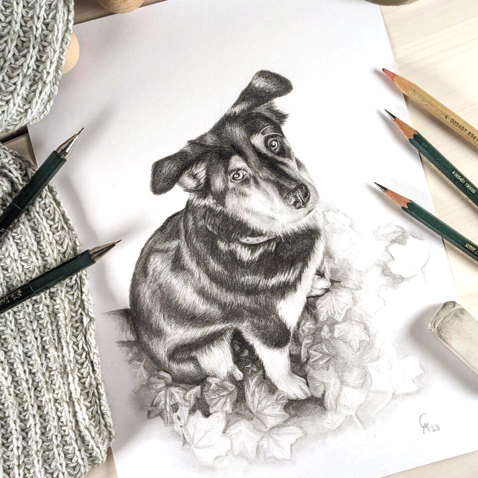 Bleistift Portrait nach Foto zeichnen lassen